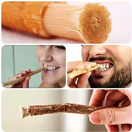 Органски билки Традиционална природна погрешна пилула за џвакање стап за заби за побели заби -10 компјутер