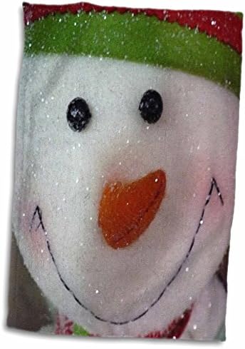 3drose Florene Childrens Art - Среќен снежен човек - крпи