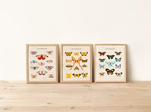 Ботанички декор и пеперутка wallидна уметност сет од 3 слонова коска бања wallид декор - декор за соба со пеперутка и украсен