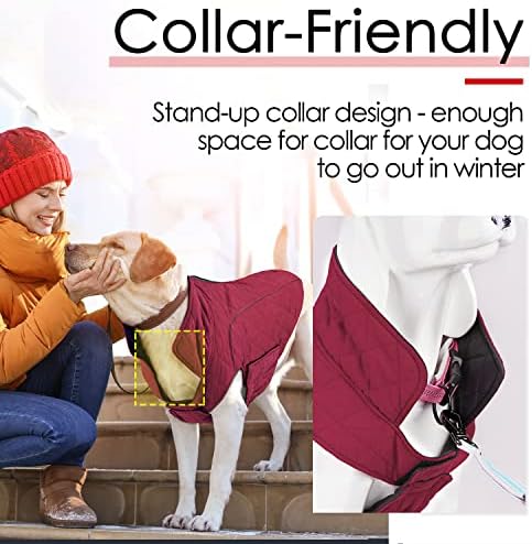 Thinkpet Dog Could Could Couls - Пријатна водоотпорна ветровитска реверзибилна зимска јакна за зимски кучиња, дебела топла палто рефлексивна