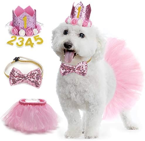 Легендог куче Туту здолниште, материјал за роденден на кучиња - капа за роденден на кучиња - кучиња Боути, слатко розово куче