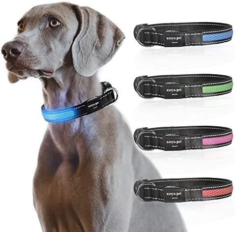Јака за безбедност на кучиња Asoya Pet LED со USB супер светло куче трепкајќи јака со водоотпорна, 4 бои со 3 големини за мали средни