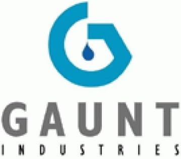 Gaunt Industries Hypo -49 - Апликатор за занаетчиски лепак - 2 унца чиста пластична шише со 18 мерачки тапи игла за игли - диспензерот за
