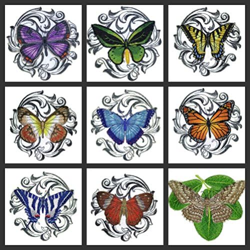 Надвор од обичај и уникатни неверојатни шарени пеперутки [Harlequin Metalmark со барокна] везена железо на/шива лепенка [5 x5]