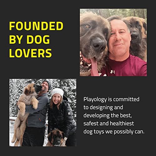 Плејологија Сребрена-Забна Играчка За Џвакање Топка За Кучиња, Голема-Наменета За Постари Кучиња-Ангажирање На Целосно Природен Мирис