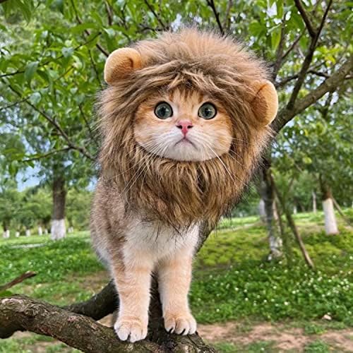 Мачка шапка, Претворете ја вашата мачка во Храбар Лав, Многу Симпатична, Лав Грива За Мачки