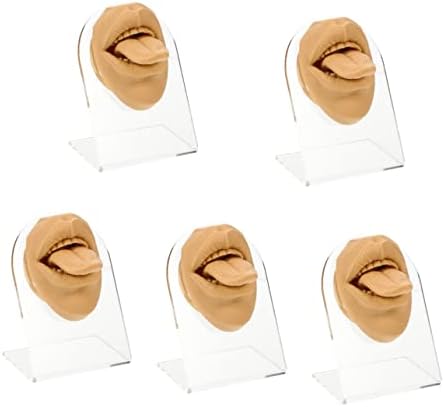 Исценети 5 комплети Д обука за уста стојат бои за човеково учење практика за еднократно тело со реквизит накит Мекиот јазик модел на кожата го