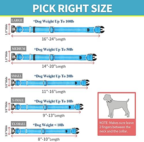 Баапет удобна јака за кучиња со двојно безбедносен двојно прстен и закачалка за ознаки за лична карта за мало кутре, средни и големи