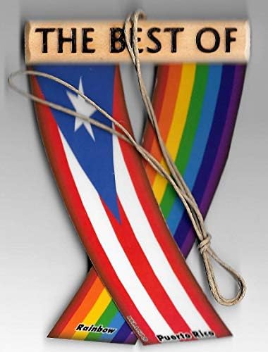 Порто Рико и Виножито Борикуа геј гордост Карибите lbgt ретровизор огледало мини банер што виси знамиња за единството на автомобилот