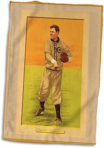 3D Rose Vintage Baseball Baseball Cub во TAN Frame TWL_38941_1 пешкир, 15 x 22