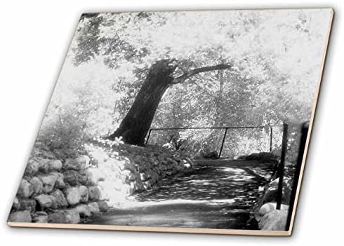 3дроза Зачудувачка инфрацрвена фотографија на патека покриена со дрво-Плочки