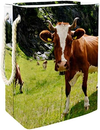 ДЕЈА Водоотпорни Корпи За Перење Високи Цврсти Преклопливи Крави Кои Пасат Зелени Ливади Отежнато Печатење На Фарма За Возрасни