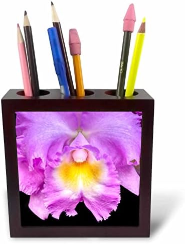 3дроза Данита Делимонт-Цвет-Виолетова Орхидеја Катлеја. - Држачи За Пенкало За Плочки