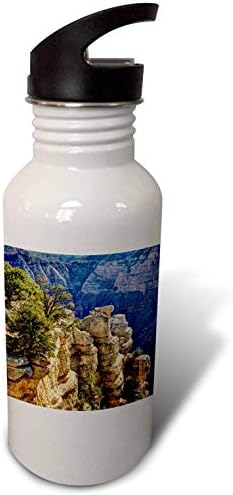3Drose USA, Arizona, Grand Canyon National Park, Grandview Point - шишиња со вода