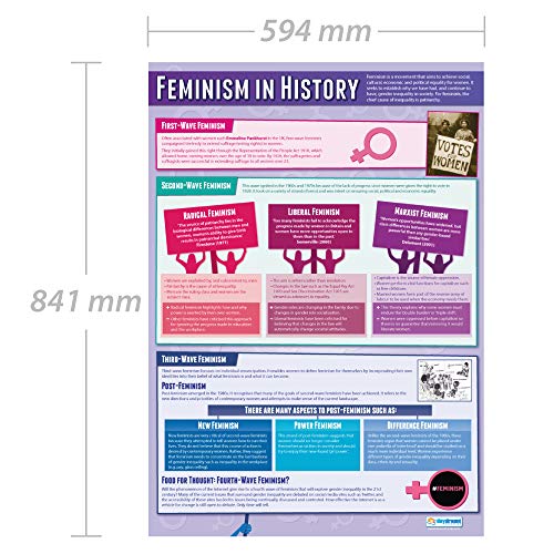 Денот на образованието Феминизам во историјата | Постери за социологија | Сјајска хартија со мерење 33 ”x 23,5” | Постери за социологија