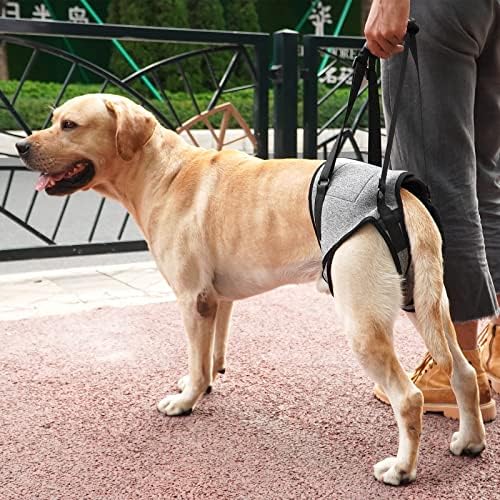 Прашка За Кучиња Дотонер За Големи Кучиња Поддршка На Задните Нозе За Да Помогне Во Рехабилитација На Задните Екстремитети На Постари Кучиња