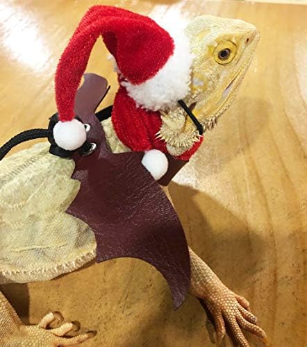 Гуштер брада змеј санта капа со сет за божиќни костуми за шал, прилагодлива облека за гуштер за лежер за порибување Подарок за порибување