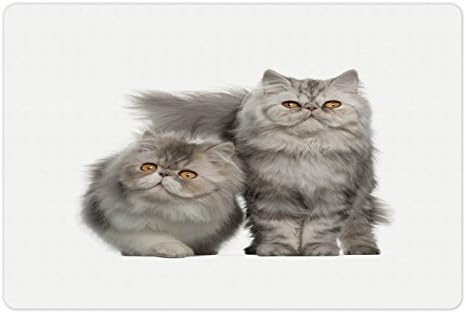 Необичен lубител на мачки миленичиња душек за храна и вода, портрет на персиски мачки со месеци позирајќи за заедништво на слики, правоаголник