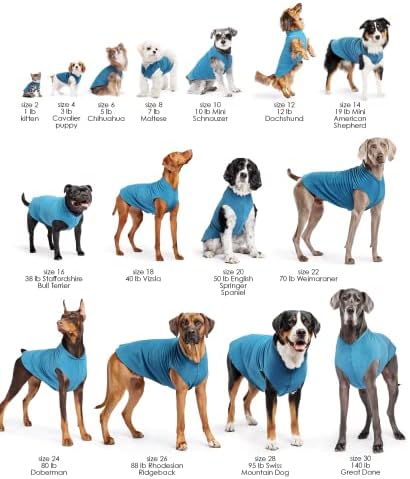 Палто за кучиња од руно од златна шепа-мека, топла облека за кучиња, истегнат џемпер за миленичиња-машина за перење, Еко пријателски-цела