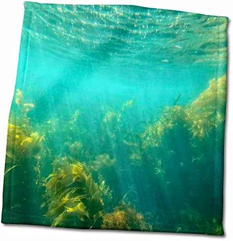 3drose подводни шуми од алги од островот Каталина - крпи