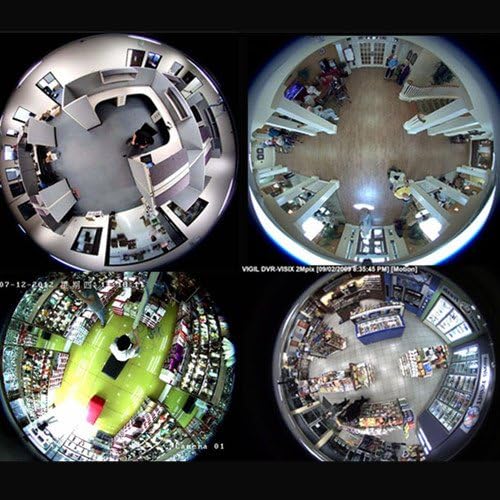 360 степени 1/3 '' CCD 700TVL CCTV DOME Fisheye Panoramic Security Camera