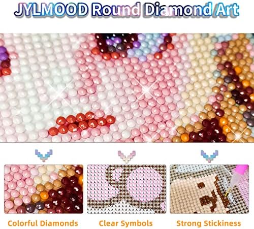Комплети за сликање на дијаманти за принцеза Jylmood за возрасни - 5Д комплети за уметност од дијаманти за возрасни деца почетник, DIY целосна вежба дијамантска точка Rhine