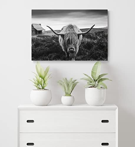 Врамена висорамнината крава платно wallидна уметност црно -бел пејзаж пасиште влакнести животни слики фарма куќа отпечатоци фотографија