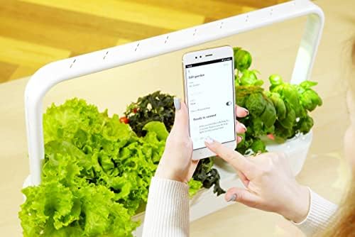 Кликнете и растат Smart Garden 9 Pro w/Bluetooth | Апликација и контролирана градина контролирана во затворен простор | Полесно
