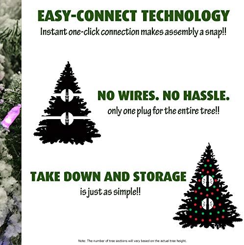 Фрејзер Хил Фарм 6,5-метри Прелитна домашна борба е новогодишна елка со ЕЗ Поврзете топли бели LED светла, пинони и бобинки, зелена боја