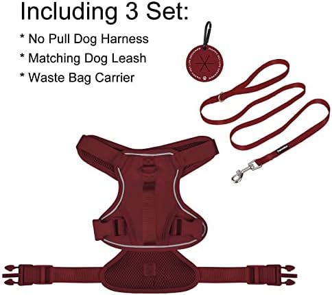 Petmolico Dog Harness за мали кучиња без влечење, симпатична кучиња со кучиња со два клипови за поводник и мека рачка, рефлексивна