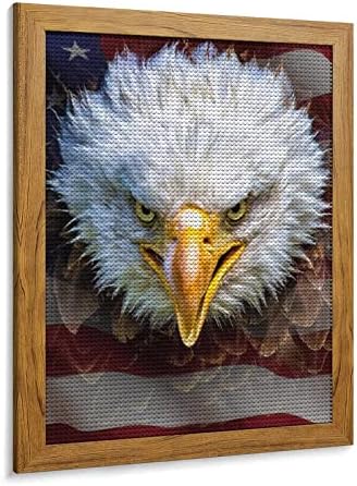 Balелав орел на знамето на САД 5D DIY вежба Дијамантски комплети за сликање Кристал вез wallид што виси уметност со рамка за декорација