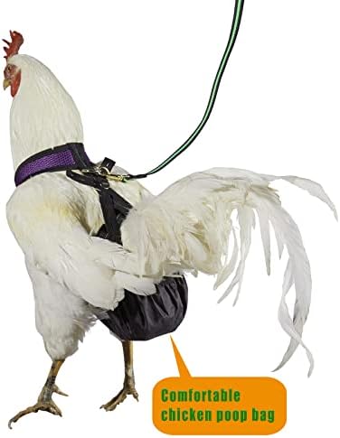 Yesito Пилешко Темперамент Големина на Кокошка со 6ft Појавување Поводник Удобно, Дише &засилувач; Перат Миленичиња Сет-За Пилиња – Гуски,