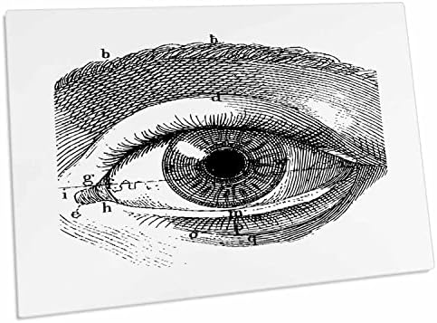 3drose гроздобер анатомски цртеж на човечко око во црно и. - Мачиња за подлога за биро