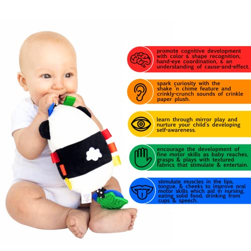 Активноста на Калиани Скиш Н игра играчка Панда - Мулти -сензорно учење Играчка за бебиња - играчка за шетачи, играчка за седишта за