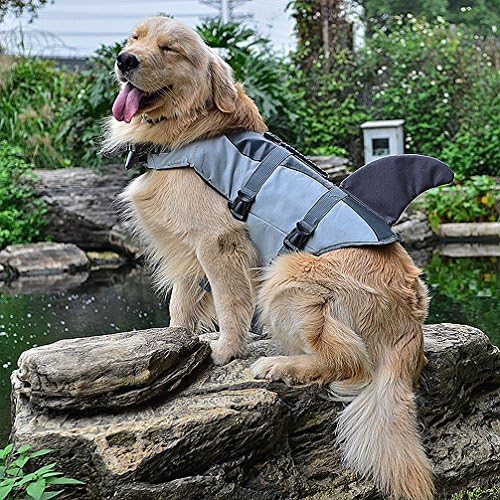 Ranphy Dog Life Life елек костим за капење ајкула перка кучешка јакна за мала средна раса миленичиња неопренови флотациони палто кученце за живот, зачувај за живот, безбедн?