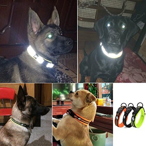 RC amperpro Soft Mest Mesh Night Night Safety Nylon Webbing со јака од 3М кучиња со ноќни рефлексивни ленти, удобна прилагодлива јака