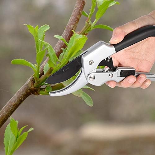 Ножици за Градинарски градини, Професионални Ножици За Сечење Бонсаи Од Челик за Сечење Овошни Дрвја