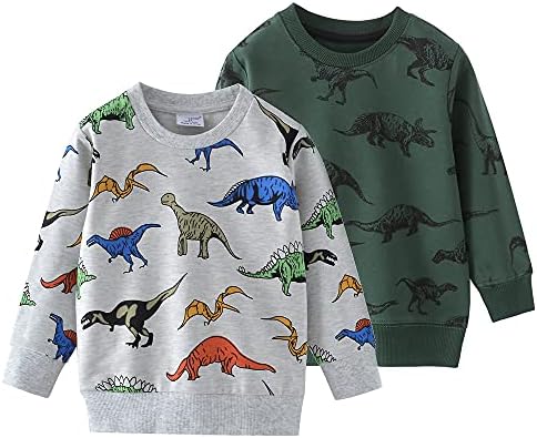 Акеакармон бебе момче диносауруси тркалезен памук памук со долги ракави, џемпер за џемпер