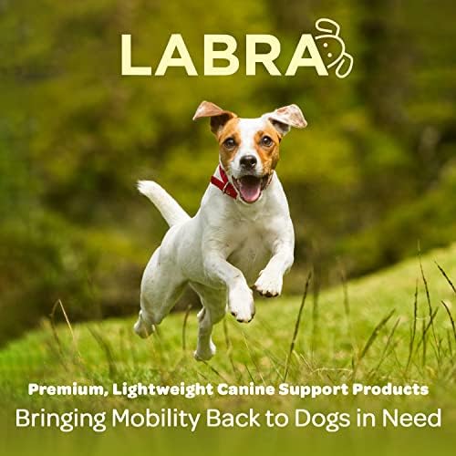 Labra Dog Canine K9 Ice Teut The Thot Hot Pack Compression Compression Compression Compression - Олеснување на болката Артритис
