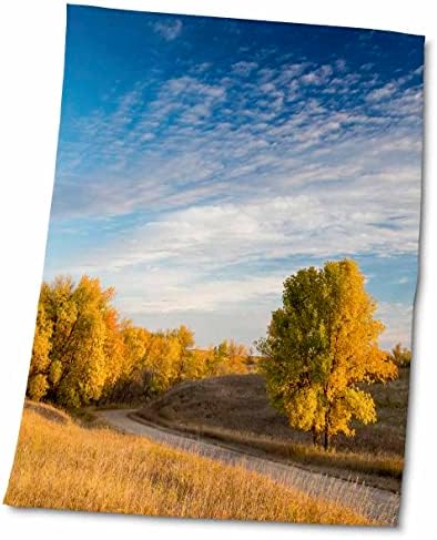 3дроза зелена пепел дрвја Во Националниот Резерват Аровуд, Северна Дакота , САД-Крпи