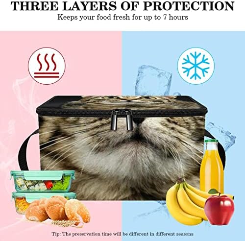 Американска торба за испорака на храна Shorthair, изолирана торба за намирници | Двоен патент