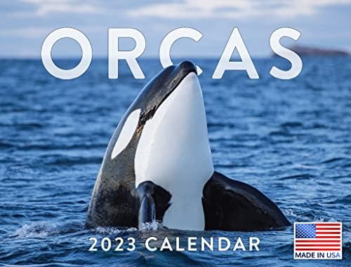 Календар на орка 2023 Месечни Календари За Закачување Ѕидови Убиец Кит Океан Риба Животно Голем Планер 24 Месеци-Целосна 2023