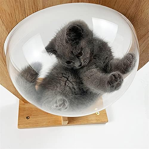 WZHSDKL Wallид, про transparentиден капсула мачки мачки wallидни куќи мачки дрвени мачки мачки искачување рамка за маче кревети