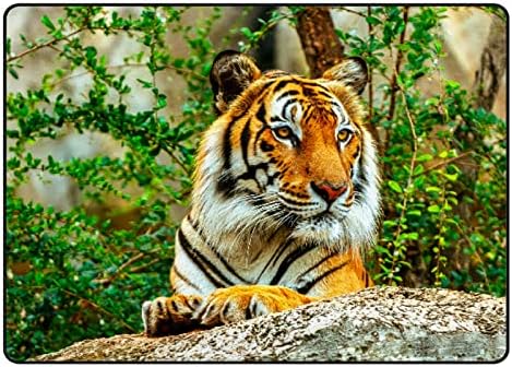 Ползи во затворен тепих игра Мат тигар во зоолошка градина за дневна соба спална соба едукативна расадник под подрачје килими 60х39in
