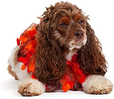 Мидли Денот на благодарноста мисирка декоративна јака за кучиња