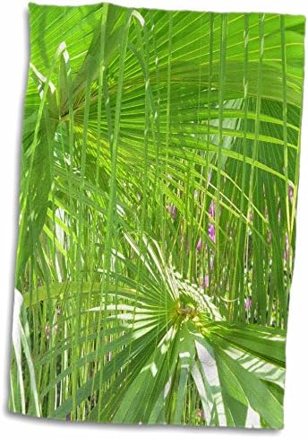 3drose Florene Macro Plant - Палма убава - крпи