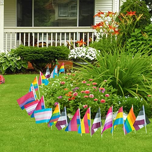48 Пакет Гордост Стап Знамиња, 18 Пакет Виножито Мини Геј Знамиња, 6х5 Пакет Трансродови Асексуални Бисексуални Пансексуални