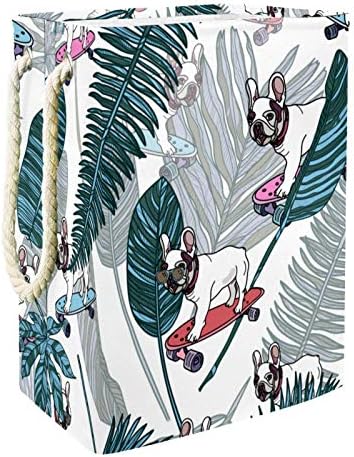 Нехомер Перење Го Попречува францускиот булдог на Скејтборд Во Тропски Лисја Џунгла Склопувачки Корпи За Перење Цврста Корпа