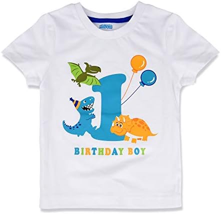 Амзтм од 1 роденденска забава маица - маичка за роденденска маица со диносаурус