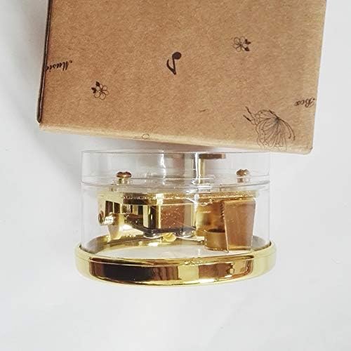 Fnly 18 белешки креативна ветерна акрилна пластика Транспарентна музичка кутија со движење со злато во, разни форми музичка кутија, Тори